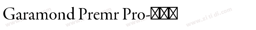 Garamond Premr Pro字体转换